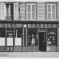 Vins tabac